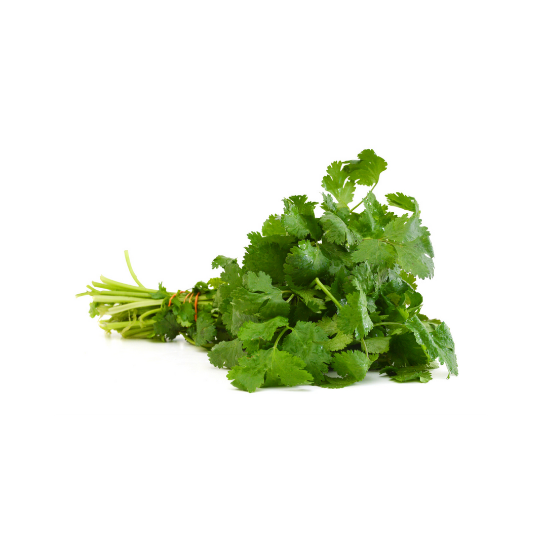 Cilantro – Thiru's Gourmet